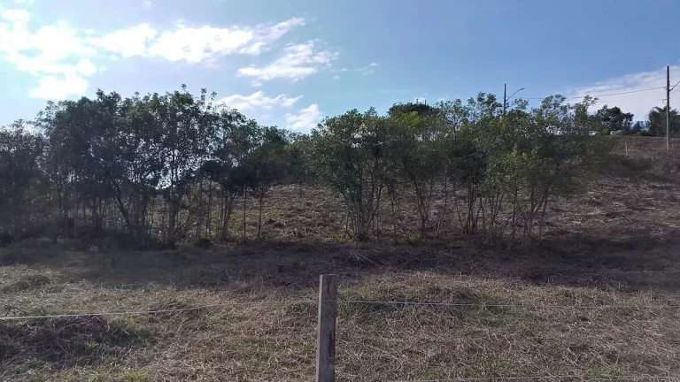 Imagem Terrenos a Venda no Campina da Barra em Araucária PR