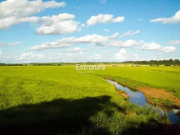 Imagem Ótima área rural com 145 hectares
