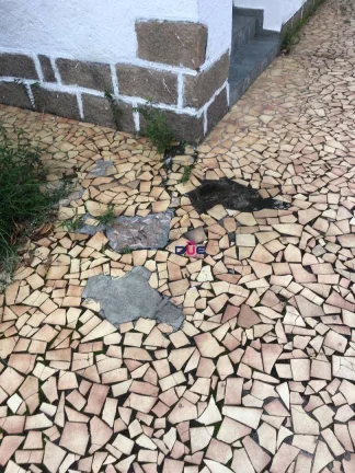 Imagem Sobrado com 2 dormitórios - venda por R$ 2.000.000,00 ou aluguel por R$ 5.500,00/mês - Campo Grande - Santos/SP