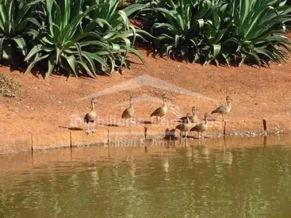 Imagem Venda, casa em condomínio, Barão Geraldo, em Campinas.
Barão Geraldo, condomínio de alto padrão...