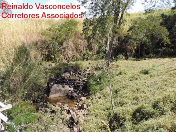 Imagem FAZENDA RURAL À VENDA NA CIDADE DE CRUZEIRO