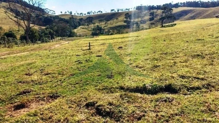 Imagem FAZENDA GADO NELORE COM 100 ALQUEIRES em Cambui MG