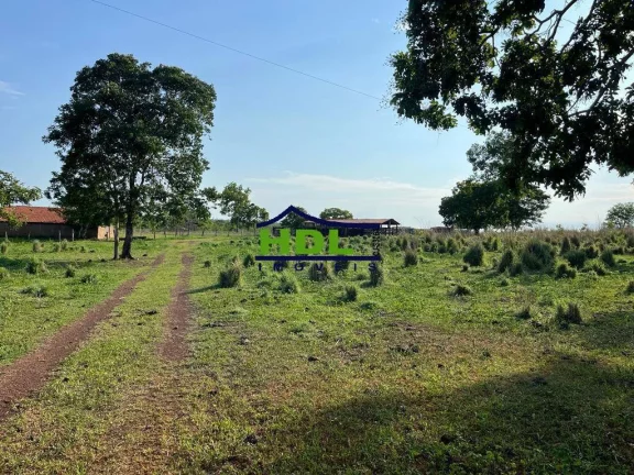 Imagem Fazenda 230 Alqs em Natividade do Tocantins