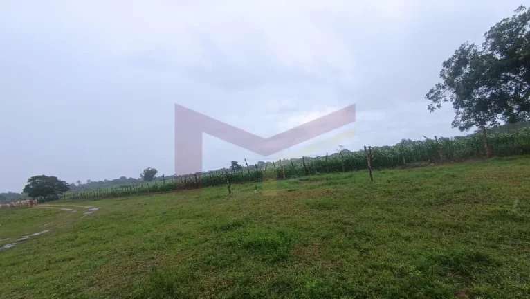 Imagem Fazenda Em Retiro deo Coração de Maria 147 tarefas (640.332 metros)