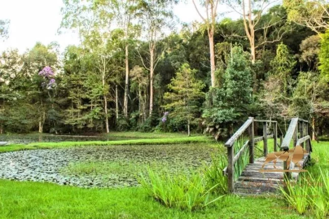 Imagem Terrenos à venda Alto Capivari - Reserva Figueiredo