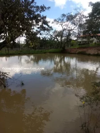Imagem Chácara para Venda em Limeira, Bairro dos Frades, 3 dormitórios, 1 banheiro, 1 vaga