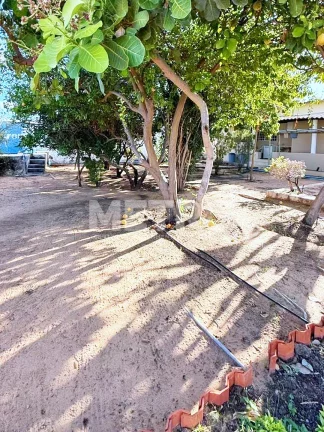 Imagem Chácara à venda na Estrada do Rodeadouro, 3 quartos, Gourmet, Piscina, Petrolina