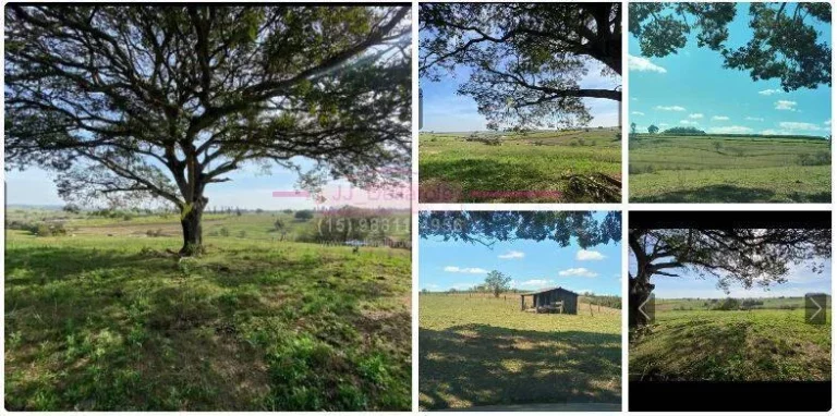 Imagem Sítio com 43,600 metros de terreno COM EXELENTE TOPOGRAFIA em cerquilho