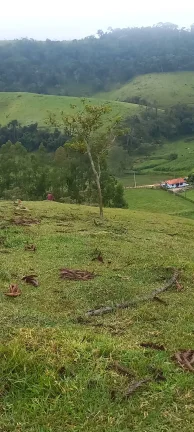 Imagem CUNHA/SP: SÍTIO COMPLETO COM 1,5 ALQUEIRE! Oportunidade Única: Seu Refúgio na Roça em Cunha!