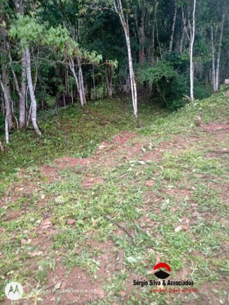 Imagem Terreno a Venda no Bairro do Centro em Piranguçu - MG.