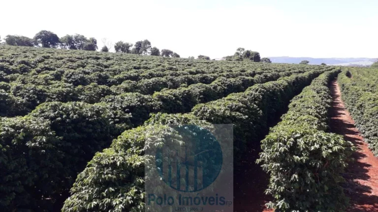 Imagem Sítio com 79 mil pés de Café, 11 alqueires com estrutura e terreirão em São Sebastião do Paraíso - Minas Gerais.