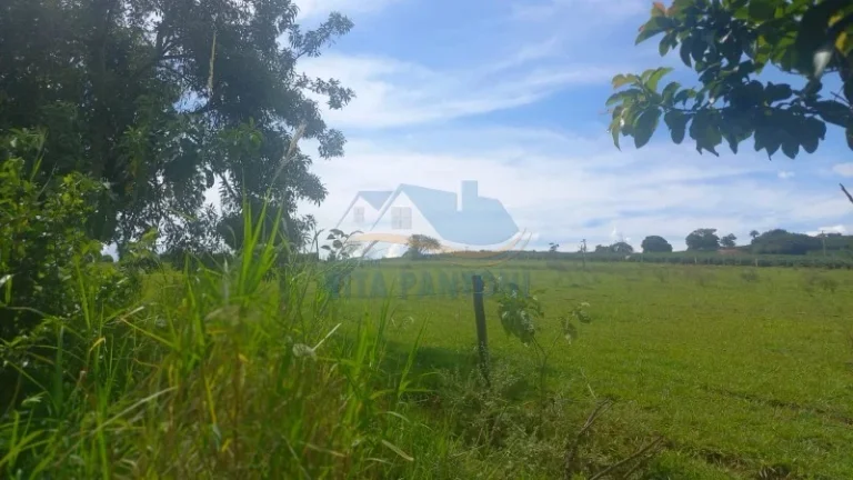 Imagem Rancho - Santo Antônio da Alegria - Poção
