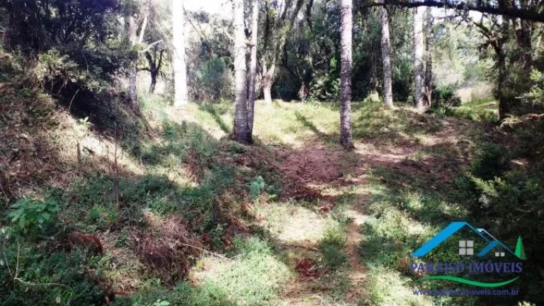 Imagem Paraíso Rural na Serra da Mantiqueira: Rancho com Vista Deslumbrante.