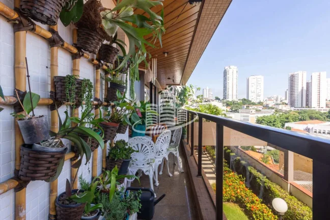 Imagem Apartamento Padrão
