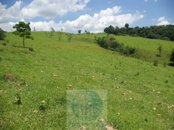 Imagem FAZENDA 169 HA, 1051 M ALTITUDE PARA CAFÉ, JACUÍ - MG
