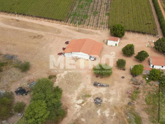 Imagem Lote de 15 hectares, escriturado e quitado na CODEVASF, PETROLINA - PE