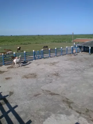 Imagem FAZENDA RURAL em LINHARES - ES, ÁREA RURAL DE LINHARES
