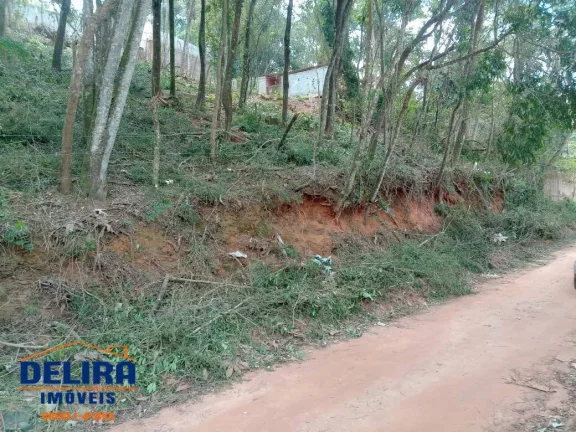 Imagem Terreno Escriturado em Terra Preta: Tranquilidade e Natureza Próxima a SP