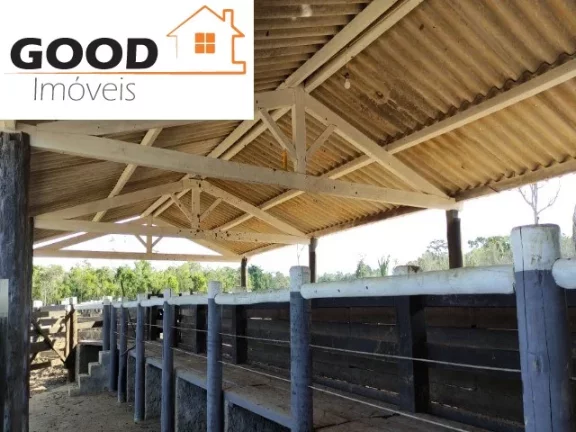 Imagem Fazenda RURAL em Silva Jardim - RJ, Silva Jardim