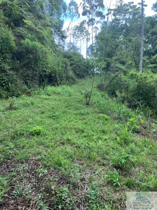 Imagem Rural - Chácara, para Venda em Rio dos Cedros/SC