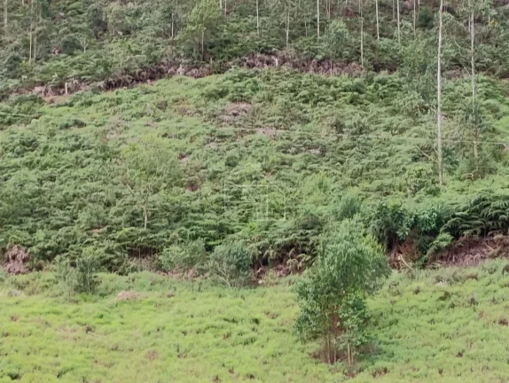 Imagem Terreno à Venda – 56.000 m² | São Bento de Urânia – Alfredo Chaves (ES)