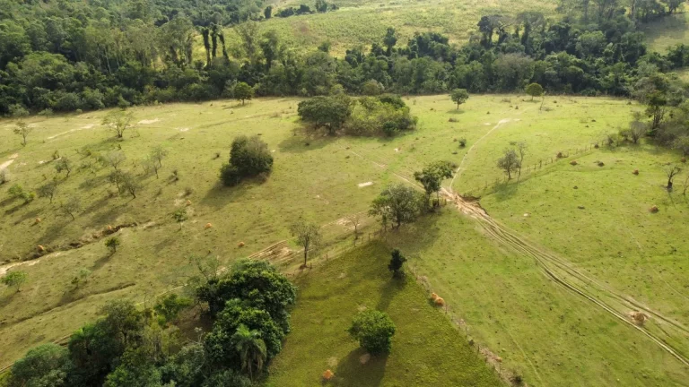 Imagem Área industrial e comercial a venda - ZCIC – com 158.462,80m² - MONTE MOR - SP