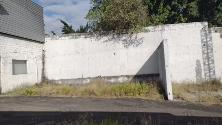 Imagem Alugo Galpão em Santo André, Vila Vilma