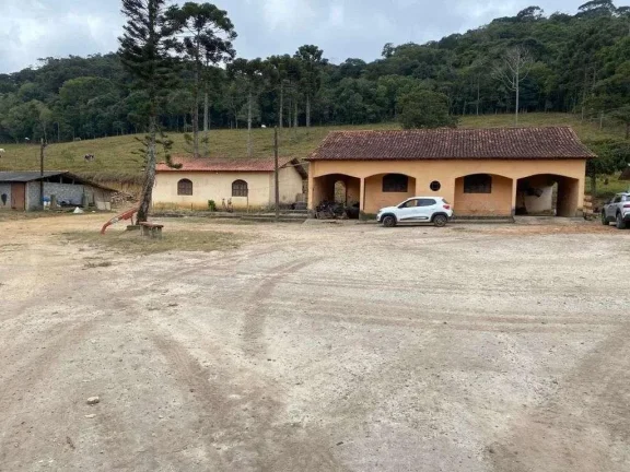 Imagem Fazenda à venda em Barbacena, Correia de Almeida, com 4 quartos, 30,2357ha
