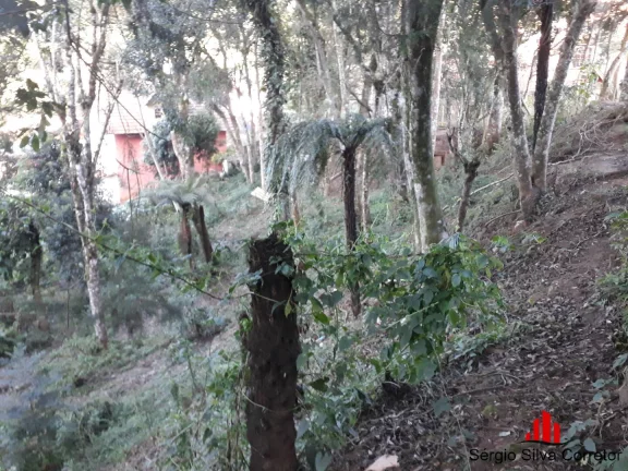 Imagem Terreno a Venda no Bairro Nova Suíça em Campos do Jordão - SP