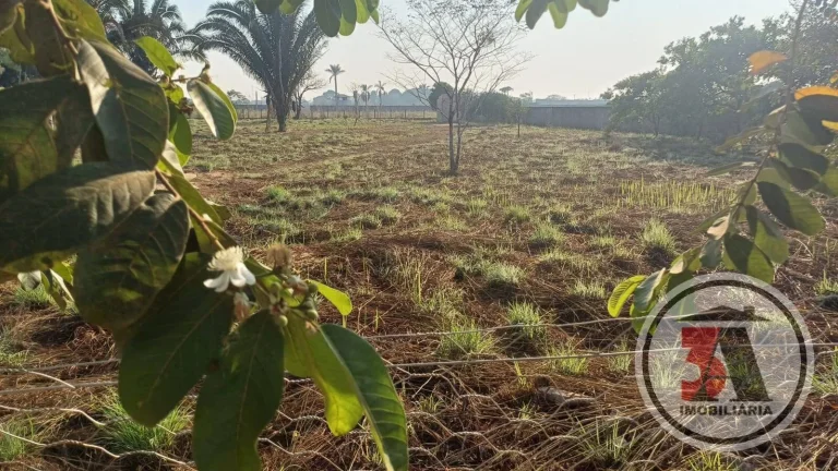 Imagem 5000M2 Próximo a FARO