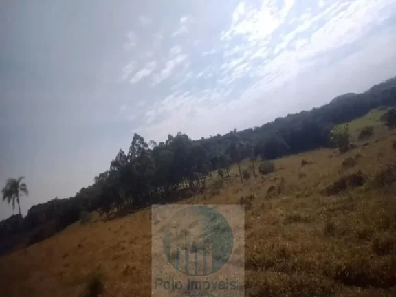 Imagem Sítio planta café 22,34 alqueires, terra vermelha, casa, água, galpão - Zona Rural - Biguatinga l de Minas Gerais
