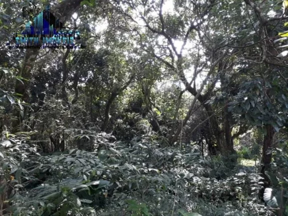 Imagem Terreno pronto para construir em loteamento residencial ao lado do Rodoanel e da Granja Viana. 

Lot...