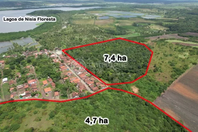 Imagem Área à Venda – Nísia Floresta / RN - 12,1 Ha