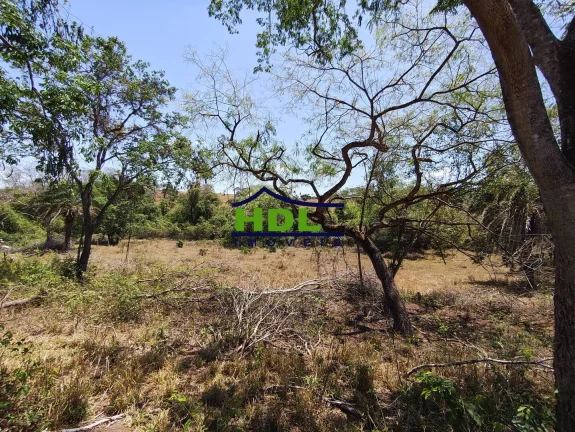 Imagem Chácara 3,1 Hectares com Córrego 90 kms de Goiânia