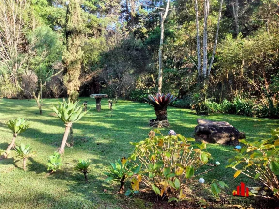 Imagem Chácara a venda com 384,00 m², Região Alta em Santo Antônio do Pinhal/SP.