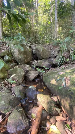 Imagem Terreno à venda em Garopaba-SC, bairro Ressacada, com 172.989,94 m² de área! Venha conferir!