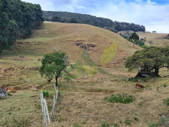 Imagem Lindo sítio à Venda em Piracaia