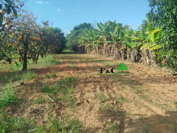 Imagem Área Industrial para Venda em Limeira, Bairro Pinhal
