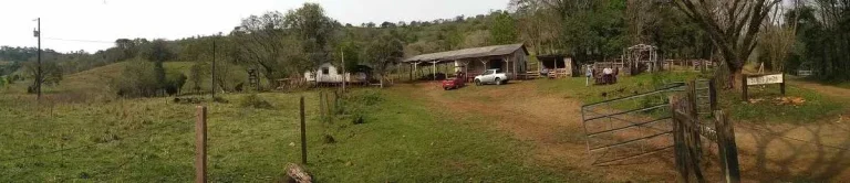 Imagem Fazenda com 2 dormitórios em Pinhal Grande - Laranjal