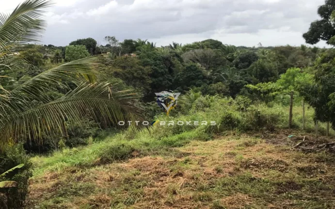 Imagem AREA RESIDENCIAL em SANTA CRUZ CABRÁLIA - BA, TÂNIA