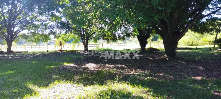 Imagem Chácara à Venda em Paranoá - DF250 - Fazenda Velha - 6,2 hectares - Escriturada e registrada.