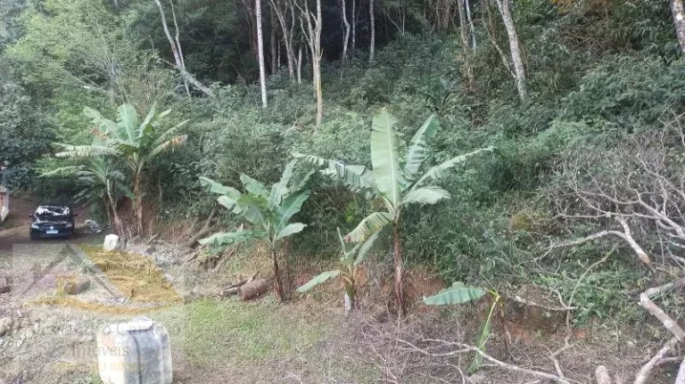 Imagem Vendo Terreno com 7800 mts² em Varginha