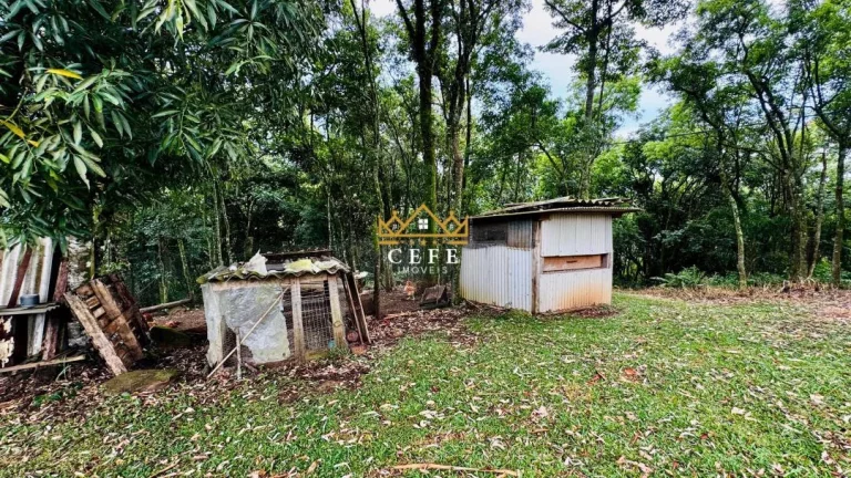 Imagem Chácara - Sítio com 2 Dormitorio(s) localizado(a) no bairro Padre Eterno Ilges em Santa Maria do Herval / RIO GRANDE DO SUL Ref.:1607