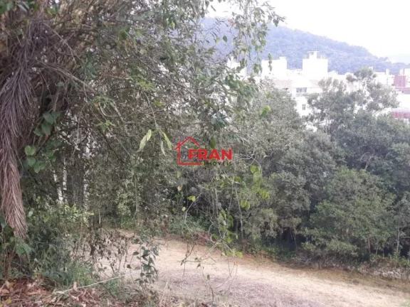 Imagem Lote a Venda no bairro Córrego Grande - Florianópolis, SC