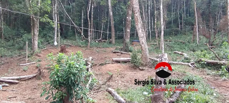 Imagem Terreno a Venda na Região da Nova Capivari em Campos do Jordão -SP.
