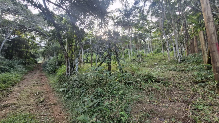 Imagem Terreno com 630m² à venda por R$200.000,00 no Siriú - Garopaba-SC