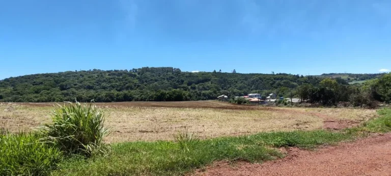 Foto do imóvel: Chácara à venda em Cascavel - São Salvador - Lavoura e Rio