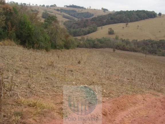 Imagem SÍTIO 3,30 ALQUEIRES PAULISTA, IDEAL PARA MILHO E SOJA - JACUÍ - MG