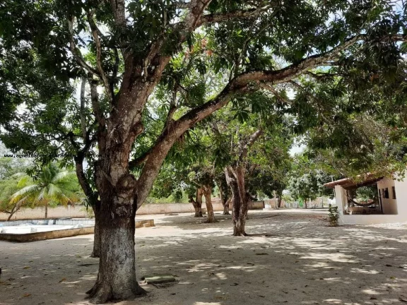 Imagem Granja para Venda em Macaíba, Centro, 2 dormitórios, 3 banheiros, 9 vagas