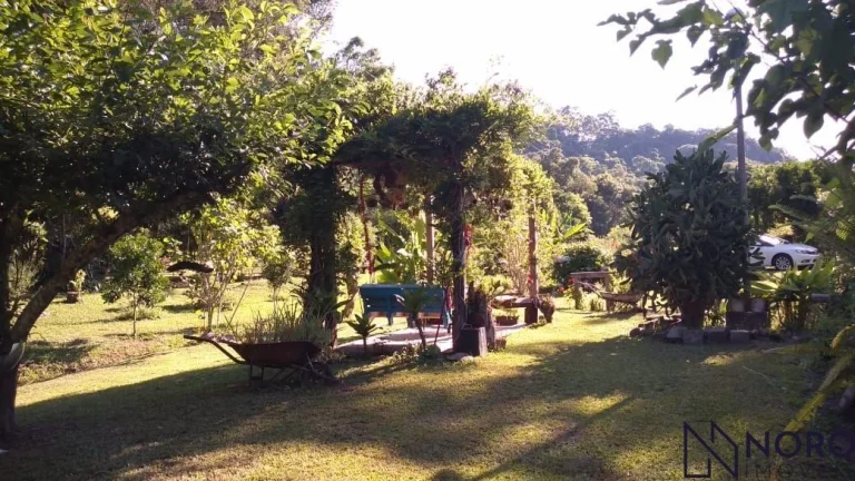 Imagem Casa no campo. Chácara para quem aprecia a natureza, mata nativa, riacho